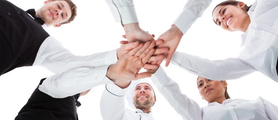 Commercial kitchen full of chefs preparing high-end meals – hospitality career opportunities